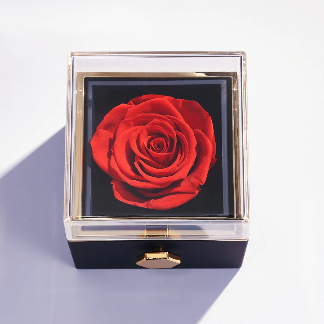 Anel do Abraço & Caixa Rotativa com Rosa